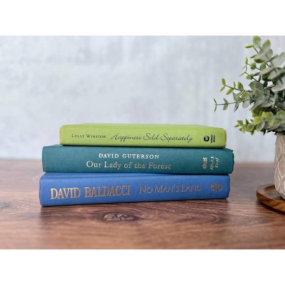 Green & Blue Decorative Real Book Set for Home Decor, Styling, Staging - Picture 1 of 9